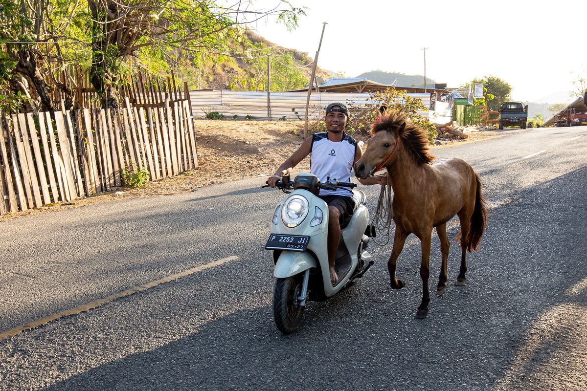 practical travel information Sumbawa - how to get around and enjoy